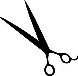 Shears/Scissors~Hair Dresser/Salon Decal,Sticker  