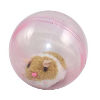 Happy Hamster Toy Rolling Inside Exercise in Ball Cute Pet move around 