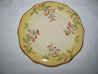 Better Homes and Gardens TUSCAN RETREAT Salad Plate 9  Used 