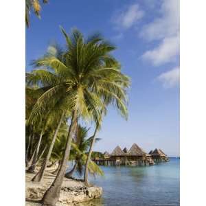  Kia Ora Resort, Rangiroa, Tuamotu Archipelago, French 