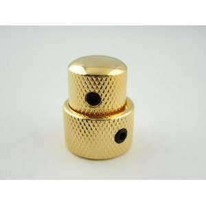  1 Gold Dual Concentric Knob Musical Instruments