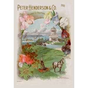  Peter Henderson and Co., 1900   12x18 Framed Print in Gold 