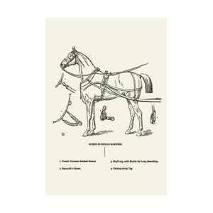  Single Harness Horse 20x30 poster