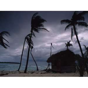  A Storm Ravages the Palm Trees and Huts on Glovers Reef 