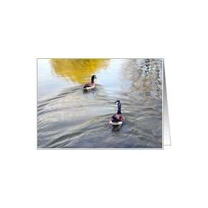 Husband  Birthday Geese  Water Reflection Card