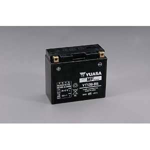  Yamaha EF12 Replacement Battery Patio, Lawn & Garden