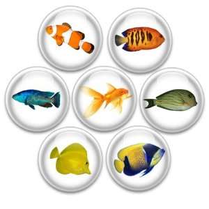    Decorative Push Pins or Magnets 7 Small Fish