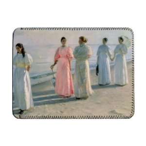  Promenade on the Beach by Michael Peter   iPad Cover 