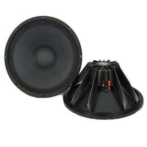   PA Karaoke Band Replacement Subwoofer Pair PP15N Musical Instruments
