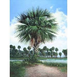  Palmetto Trees Limited Edition Print