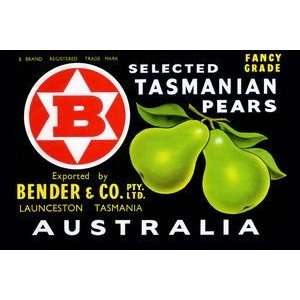 Bender & Co. Selected Tasmanian Pears   12x18 Gallery Wrapped Canvas 