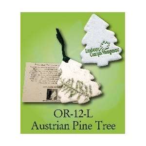  OR 12 L    Seeded Tree Shape Austrian Pine