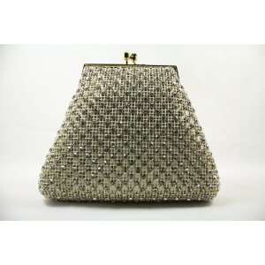  Evening Purse with Encrusted with Silver Crystal Beads Everything