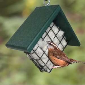  Sheltered Nesting Basket 