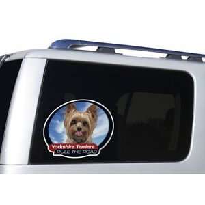   Terrier (Yorkie) One Way Vision Window Covering Pet Tatz Automotive
