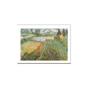  Field Of Poppies, St.Remy Poster Print